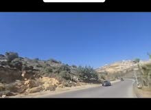 Mixed Use Land for Sale in Ramallah and Al-Bireh Abu Qash