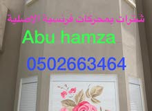 شبابيك الشتر شبابيك الشتر