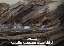 ترابل سوبر سيوفي ماليزي ترابل سوبر سيوفي ماليزي