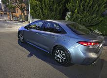 Toyota Corolla XLE in Amman