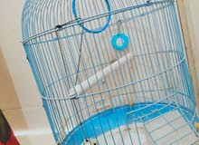 round cage for sale round cage for sale