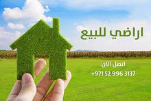 ارض فى العاليه سكني تجاري زاوية شارع و سكة جاهزة للبناء ارض فى العاليه سكني تجاري زاوية شارع و سكة جاهزة للبناء