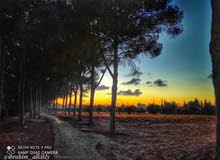 موظف اداري موظف اداري