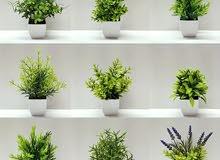 Mini Artificial Eucalyptus & Wheat Grass Plants - Perfect for Home Decorations & Office Desk