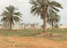 قطعة ارض بالقرب من مدرسة بدر ومستشفى المعاقين على تلات واجهات قطران