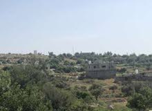 Residential Land for Sale in Ramallah and Al-Bireh Dayr Ghasana