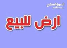ارض للبيع بالقرب من اكسبو 2020 ومطار ال مكتوم الدولى بالتقسيط على 4 سنوات ارض للبيع بالقرب من اكسبو 2020 ومطار ال مكتوم الدولى بالتقسيط على 4 سنوات
