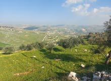 Farm Land for Sale in Jerash Other