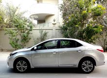Toyota Corolla 2015 Toyota Corolla 2015