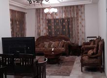 شقه مفروشه فرش كامل شقه مفروشه فرش كامل