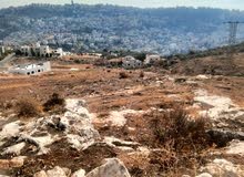 Residential Land for Sale in Amman Abu Al-Nair