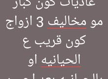 طيور حب طيور حب