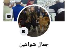 صباغ دهين سيارات من الأردن تواصل واتس اب00962796568968 صباغ دهين سيارات من الأردن تواصل واتس اب00962796568968
