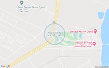اجازة فى بورتو ساوث بيتش اجازة فى بورتو ساوث بيتش