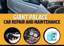 giant Palace car service
