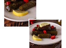 ورق عنب ورق عنب