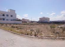 terrain 521m2 borj Cedria terrain 521m2 borj Cedria