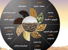 وصول قريب وصول قريب