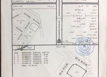 للبيع ارض في ينقل المري مطلوب 2500﷼ للتواصل للبيع ارض في ينقل المري مطلوب 2500﷼ للتواصل
