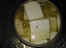 جبنه غنم جبنه غنم