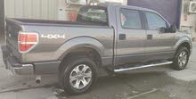 2013 Ford F-150 for sale