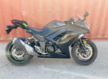 Kawasaki Ninja 2014 300cc