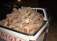حطب سمر حطب سمر