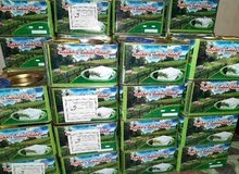 جبنة غنم بلدية جبنة غنم بلدية