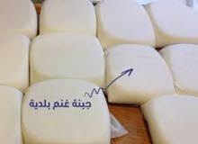 جبنة للبيع جبنة للبيع