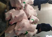 Supply of meat Supply of meat