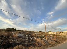 Mixed Use Land for Sale in Tulkarm Qaffin
