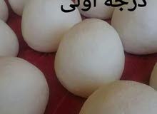 جميد كركي اصلي 100‰ جميد كركي اصلي 100‰