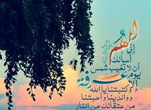 3 قطع اراضي في طمينه كل قطعه 500م... 3 قطع اراضي في طمينه كل قطعه 500م...