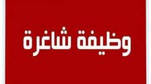 سائق كيا 14 راكب سائق كيا 14 راكب