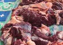 ابحث عن جزار ابحث عن جزار