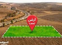 Mixed Use Land for Sale in Jenin Al Rameh
