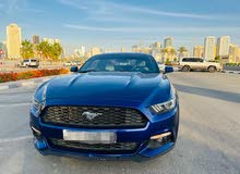 Ford Mustang 50th Anniversary 2015 for Sale