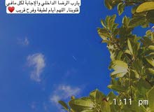 ابحث عن عمل فترة مسائية ابحث عن عمل فترة مسائية
