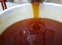 عسل حر صافي الكيلو 33 دينار كلاتوس- جبلي-زعتر عسل حر صافي الكيلو 33 دينار كلاتوس- جبلي-زعتر