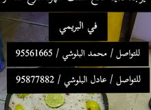 للبيع سمك مالح جيذر و سهوة تم تمليح سمك قبل اسبوع سمك طازج ماء شاءالله للبيع سمك مالح جيذر و سهوة تم تمليح سمك قبل اسبوع سمك طازج ماء شاءالله