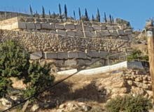 Mixed Use Land for Sale in Hebron Tapuah