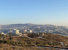Residential Land for Sale in Nablus Zawata
