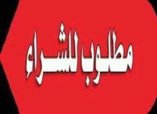 مطلوب انثى كينج او مدينا حجم كبير للشراء looking for King Female مطلوب انثى كينج او مدينا حجم كبير للشراء looking for King Female