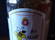 دار النحلة دار النحلة
