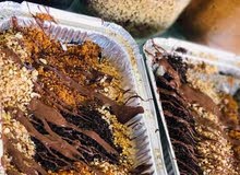 سطى كريب و بريوش و عصائر ندور في خدمة داخل طرابلس سطى كريب و بريوش و عصائر ندور في خدمة داخل طرابلس