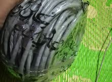 منضومت نت الزعفرانية 07702647716 منضومت نت الزعفرانية 07702647716