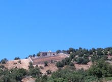 أرض للبيع في لواء قصبة عجلون أرض للبيع في لواء قصبة عجلون
