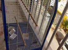 قفص ببغاء شبه جديد قفص ببغاء شبه جديد