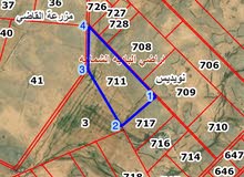 60 دونم مع رخصه بير ( مشروع استزراع سمكي) يحدها شارعين  واصل لها الكهرباء