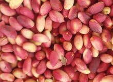 فستق حلبي درجة اولى فستق حلبي درجة اولى